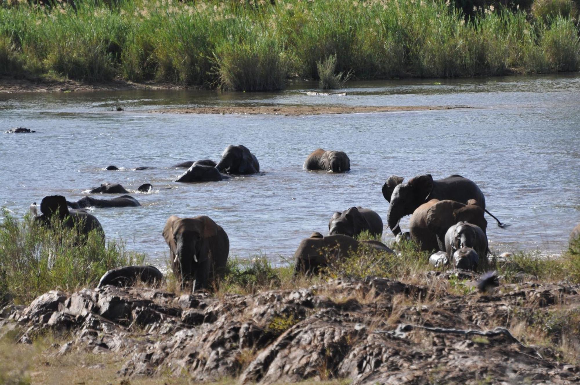 La Kruger Lifestyle - No Loadshedding Alojamento de Turismo Selvagem *