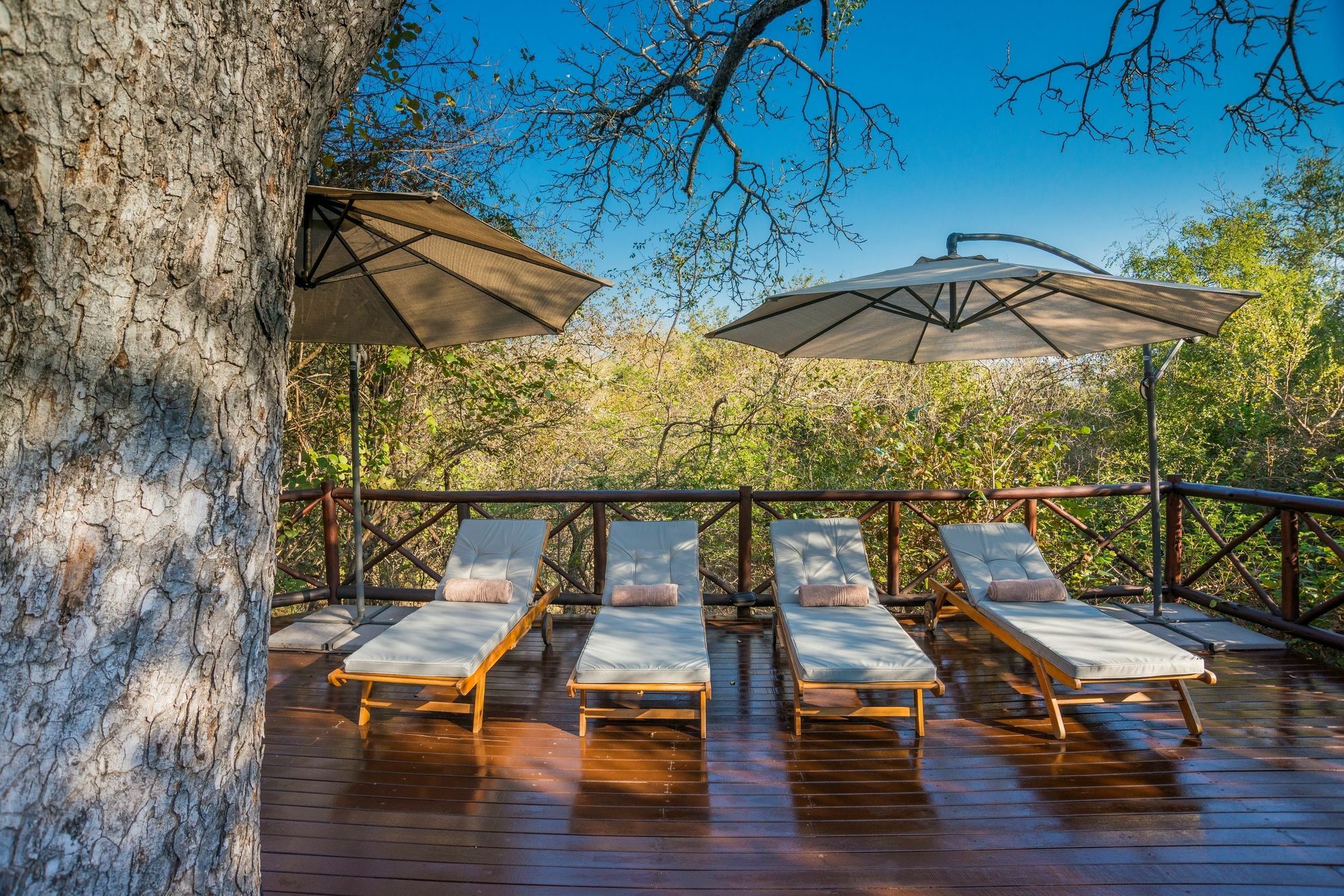 Alojamento de Turismo Selvagem La Kruger Lifestyle - No Loadshedding Marloth Park